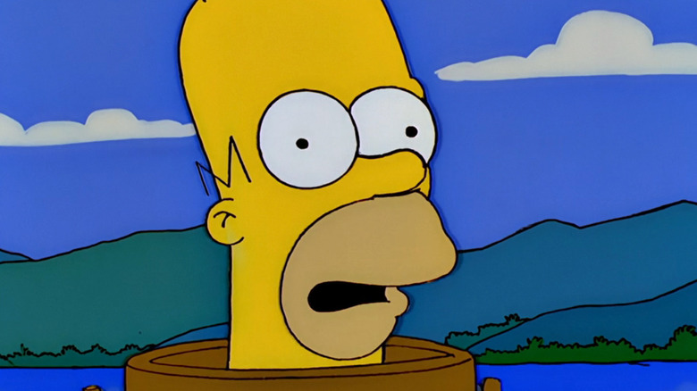 Homer Simpson The Simpsons