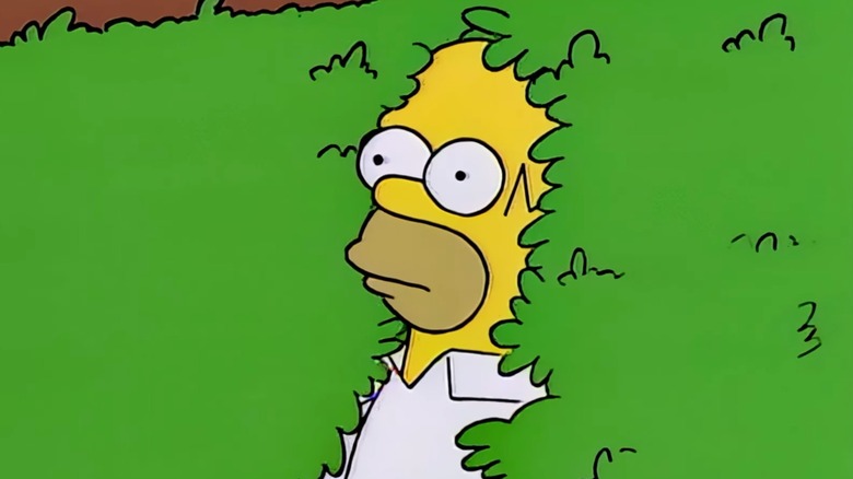 Homer backing into a bush in The Simpsons