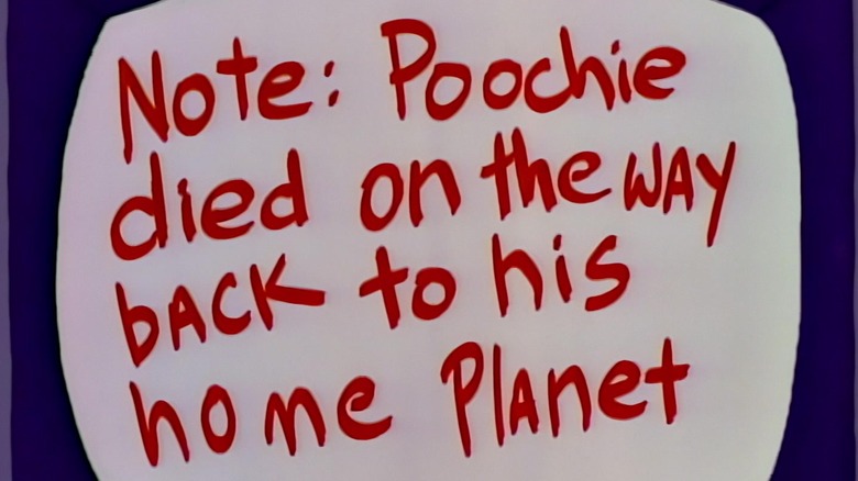 ది సింప్సన్స్‌లో పూచీకి ఏమి జరిగిందో వివరిస్తున్న చిరాన్