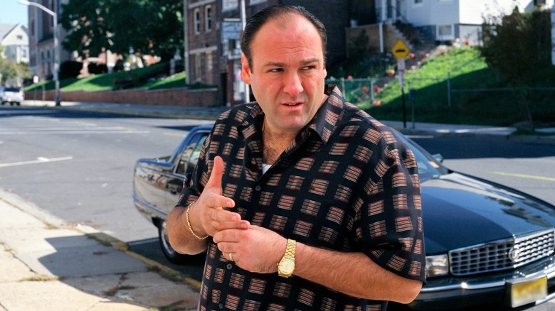 James Gandolfini in The Sopranos