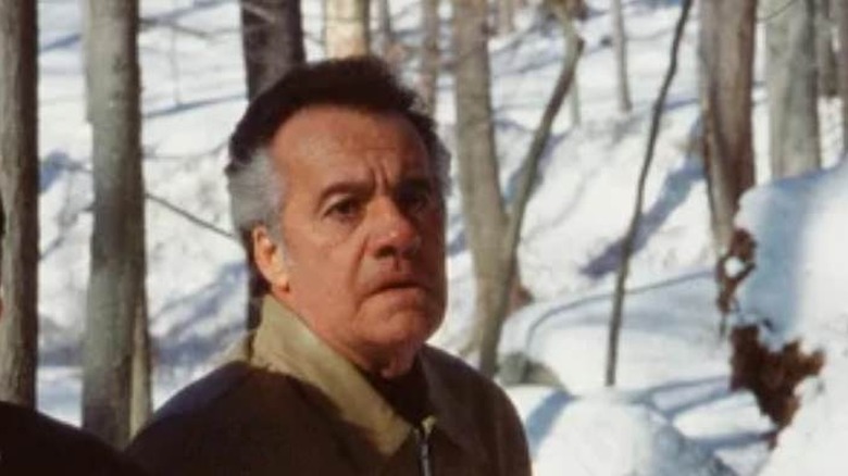Pauli walking through Pine Barrens
