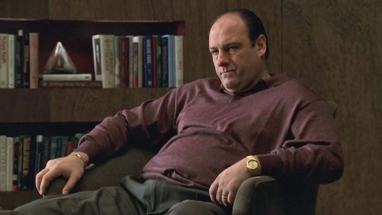 James Gandolfini as Tony Soprano in The Sopranos