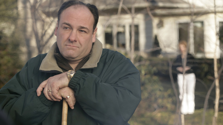 James Gandolfini in The Sopranos
