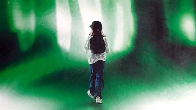 Stephen King's The Girl Who Loved Tom Gordon book cover