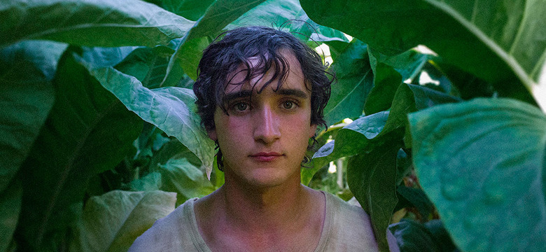 Happy as Lazzaro