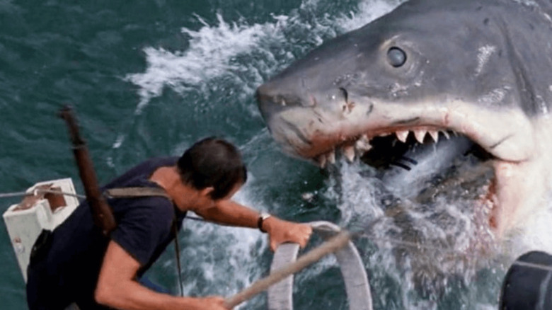 Shark attacking during Jaws climax