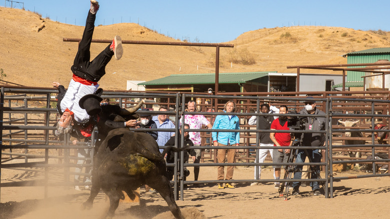Jackass Forever bull