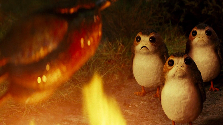 Porgs Watch in Horror as One of Their Own is Roasted Over a Fire