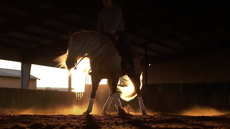 A horse and rider are silhouetted against the sunlight in The Last Cowboy