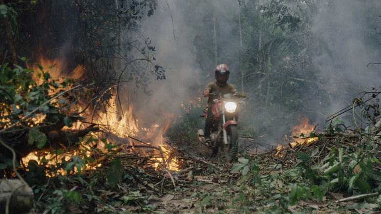 The
      Amazon burns in The Territory