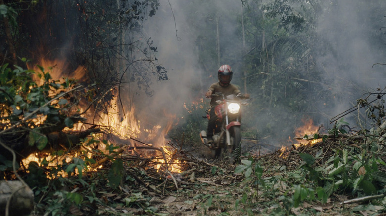 The Amazon burns in The Territory