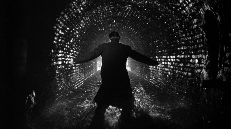 Harry Lime with his back to the camera, standing in a sewer during the climax of The Third Man