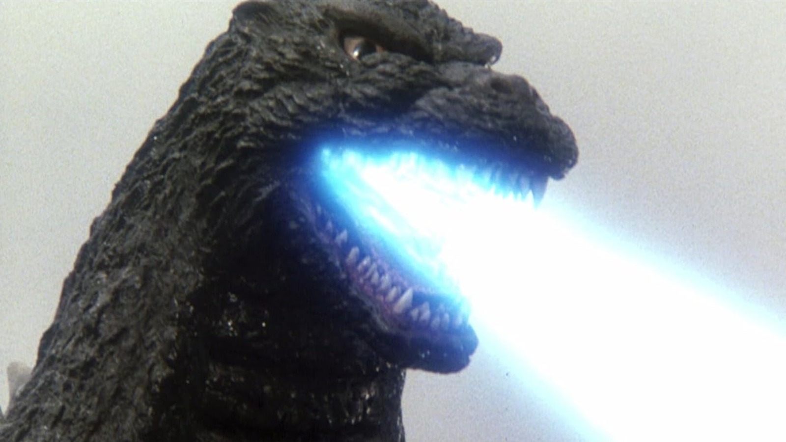 The Time A Stolen Godzilla Suit Washed Up On Japan's Beaches - Vimarsana News