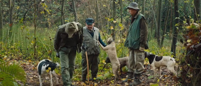 The Truffle Hunters Review