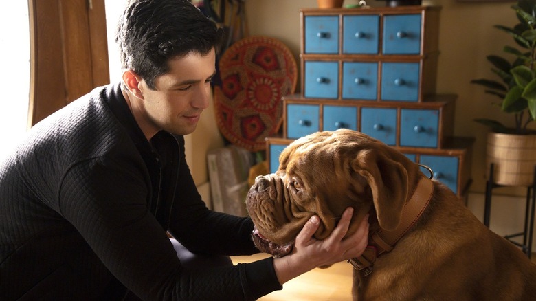 Josh Peck in Turner & Hooch