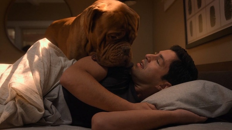 Josh Peck in Turner & Hooch