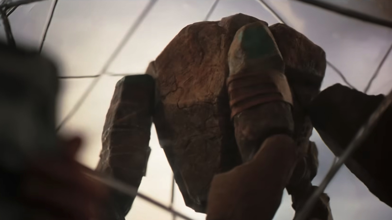 The Unique Way Project Hail Mary's Eridians Sleep, Explained