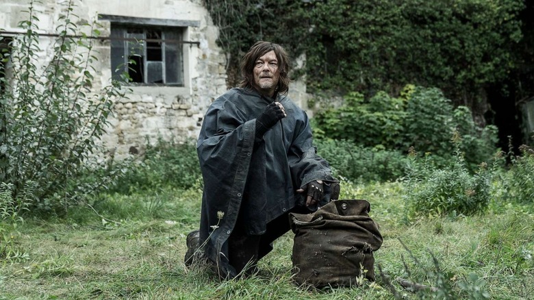 Norman Reedus, The Walking Dead: Daryl Dixon