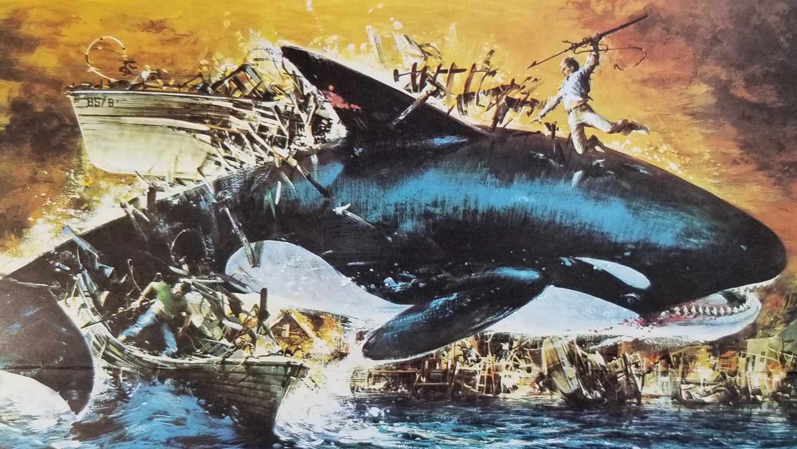 The Whales Are Revolting Against Humanity And A Forgotten Jaws Rip-Off Warned Us - Vimarsana News