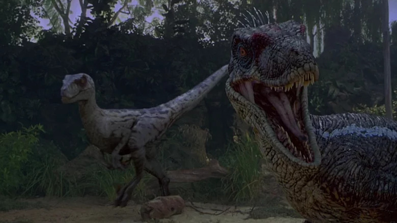 Raptors looking angry in Jurassic Park III