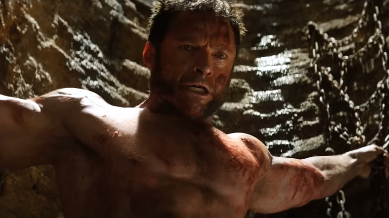 Wolverine bloody