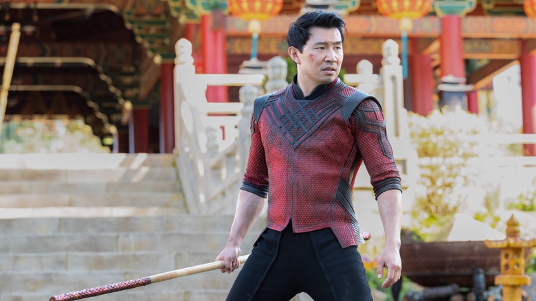 Shang-Chi warrior pose