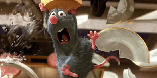 ratatouille