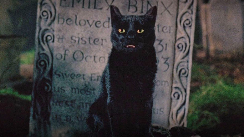 Thackery Binx in Hocus Pocus