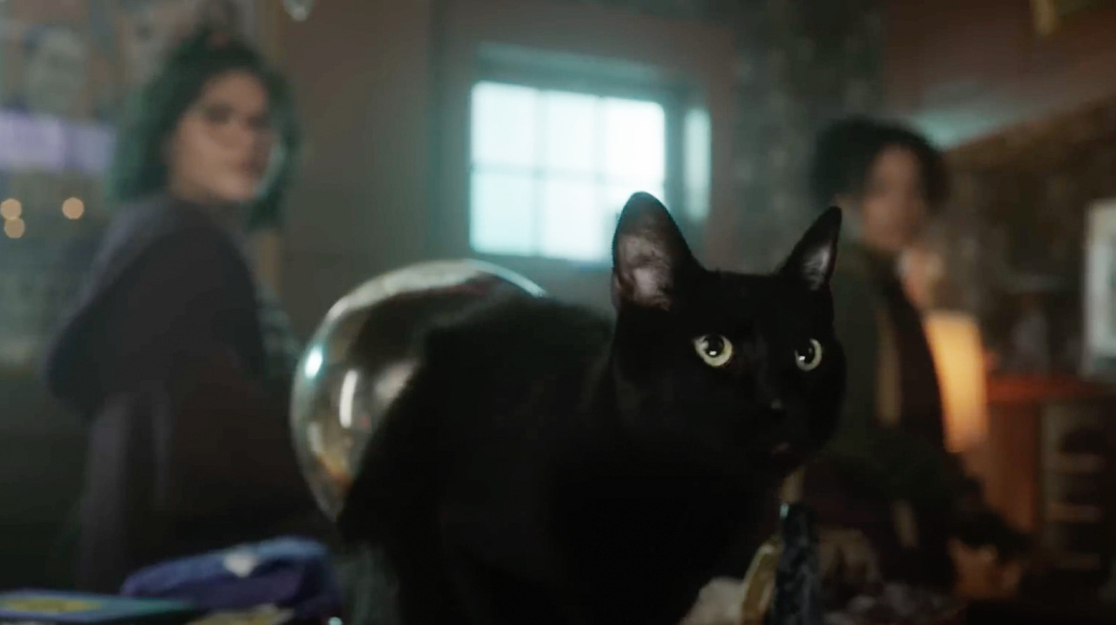 There Are 'No Talking Cats' In Hocus Pocus 2, But Thackery Binx Will Return