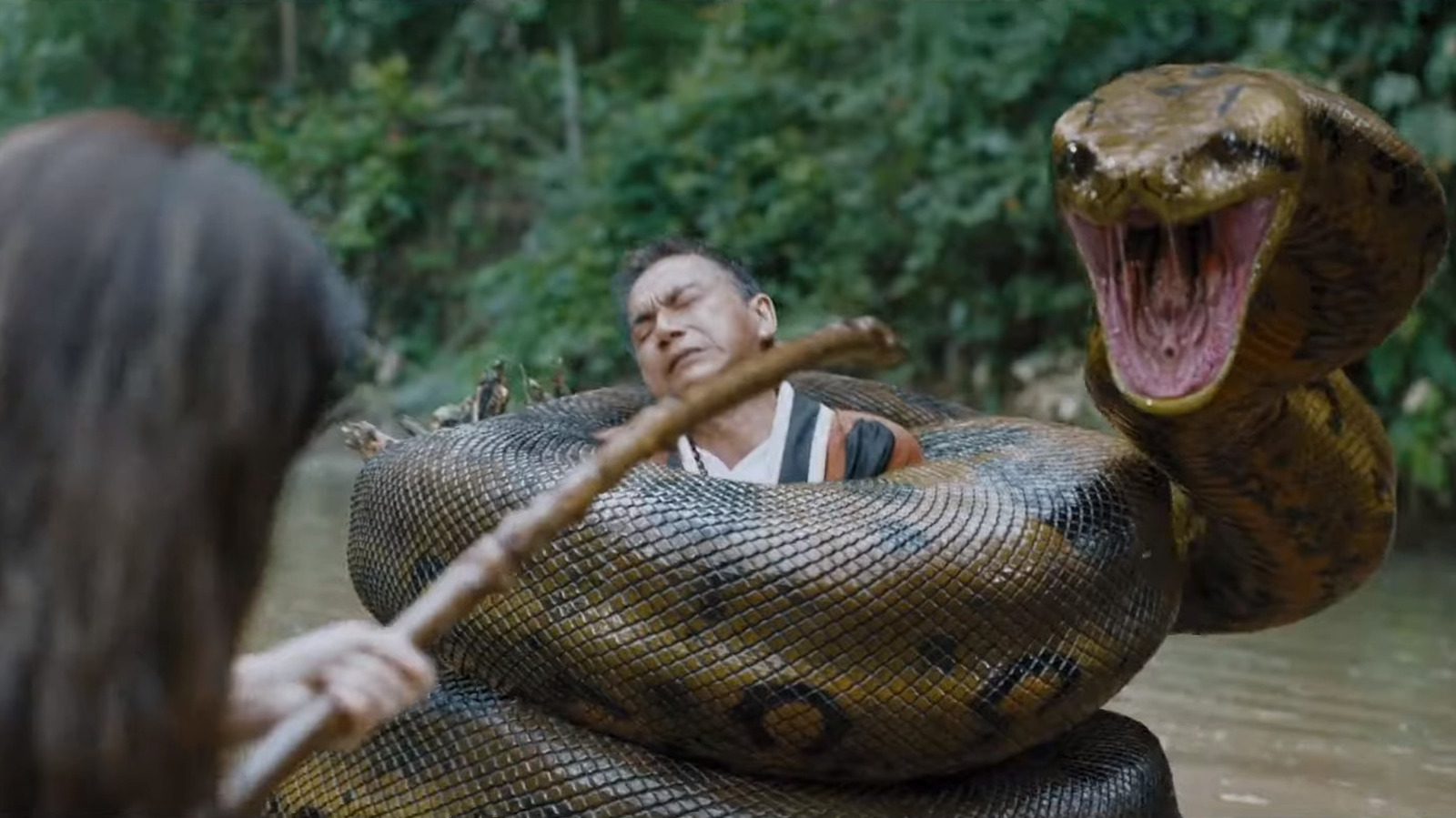 B级恐怖经典《巨蟒》的中国翻拍版，预告片绝对疯狂