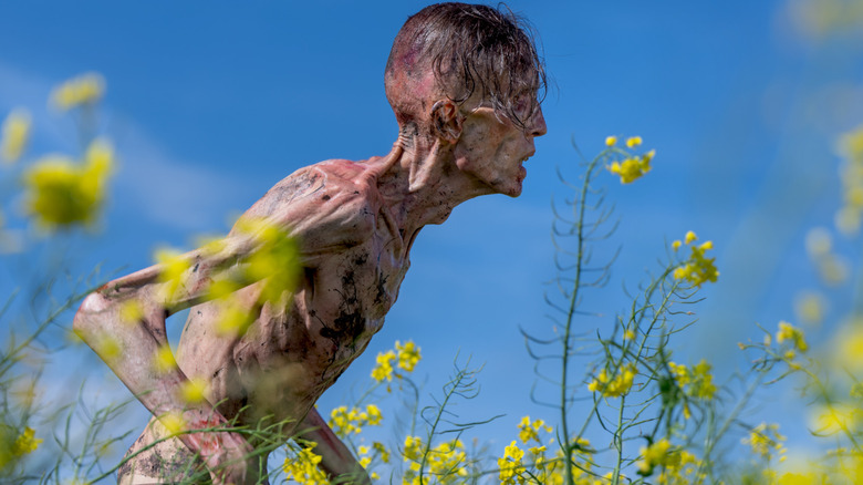 Angus Neil as a base infected in the center of a flower after 28 years