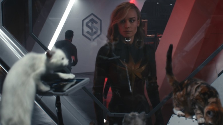 Brie Larson as Carol Danvers staring at Flerkens in an escape pod in The Marvels