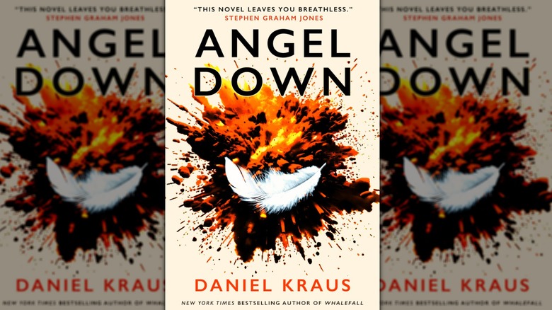 The second book cover of Angel Down