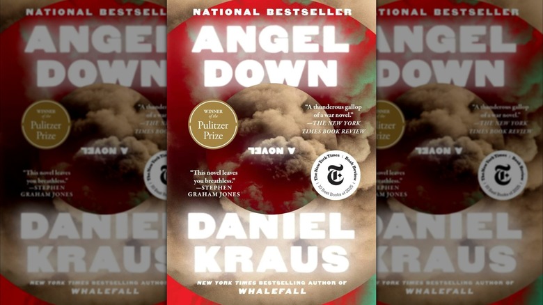 The cover of the book Angel Down