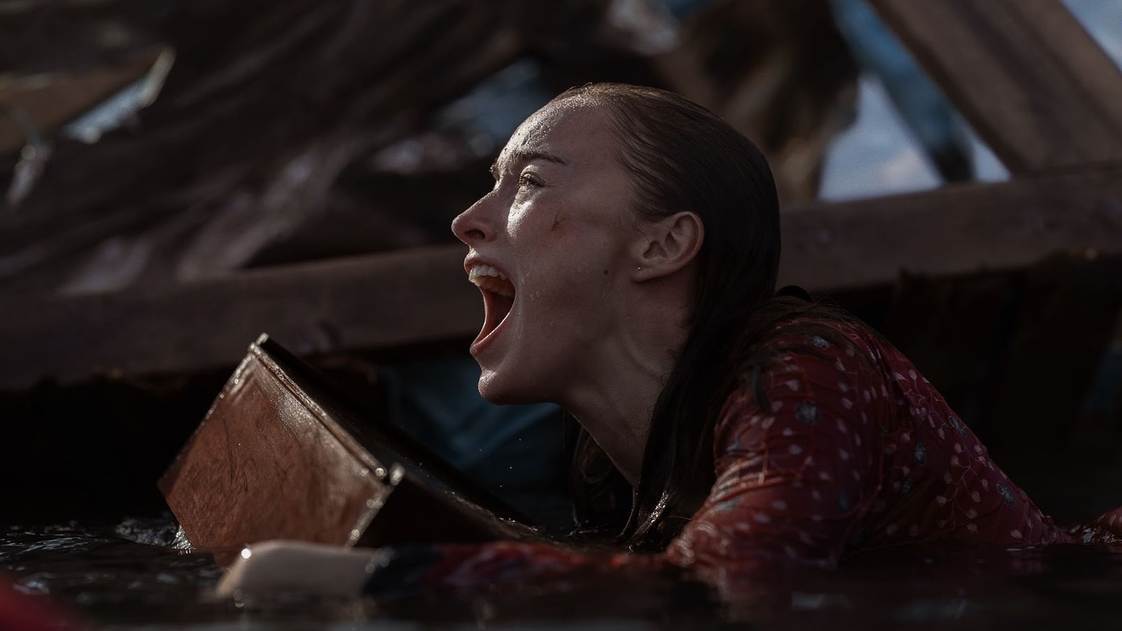 De nieuwe Shark Disaster Flick van Netflix is precies wat je wilt