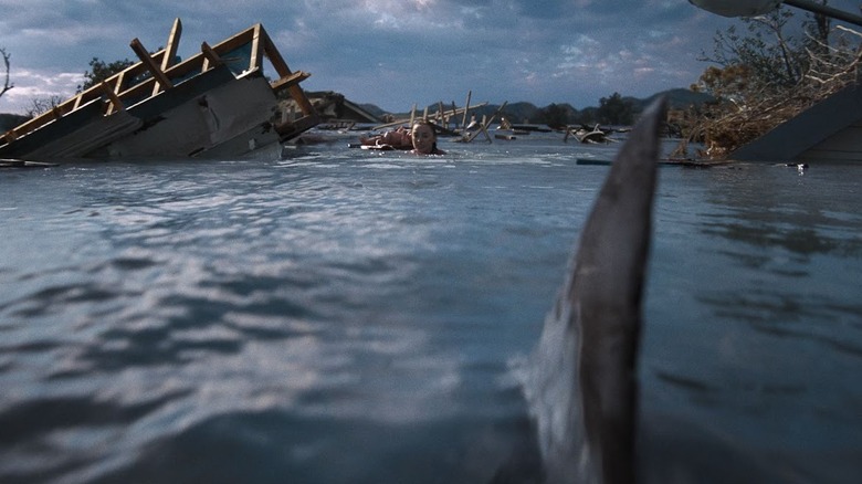 A shark fin pops out of the water in Thrash