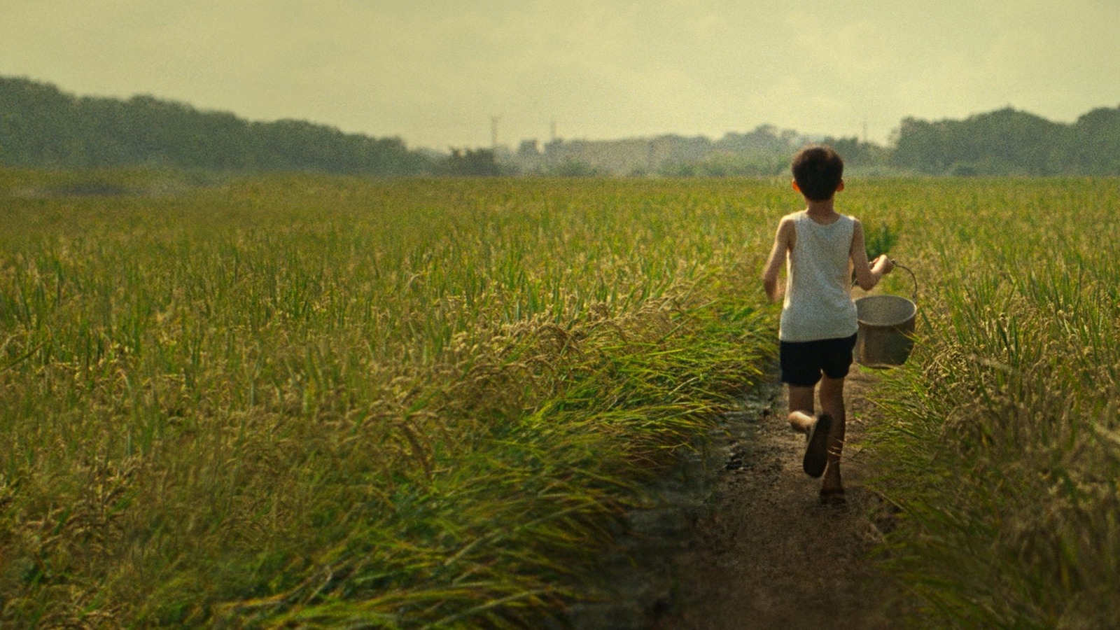 Tigertail's Production Was Skirting Disaster From Its Very First Scene