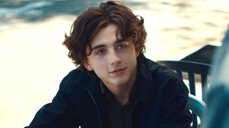 Lady Bird, Timothee Chalamet