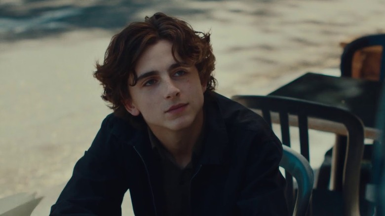 Lady Bird Timothee Chalamet