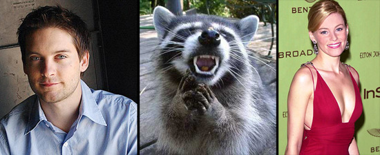 maguire_banks_raccoon