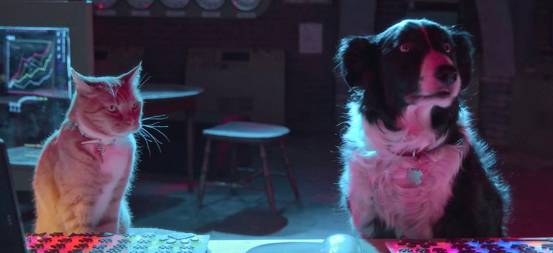trailer round-up cats and dogs 3