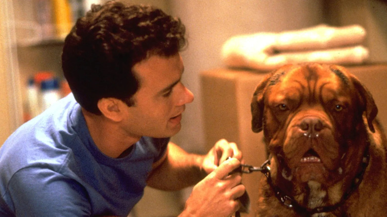 Tom Hanks holding dog in leash