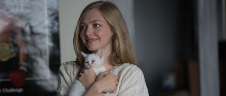 Amanda Seyfried in While We're Young