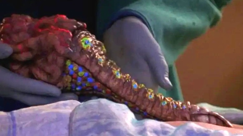 A closeup of a Trill symbiont on Star Trek: The Next Generation