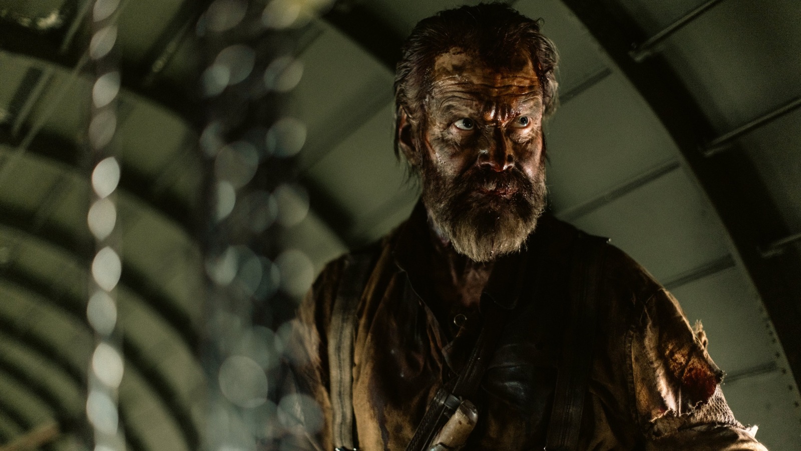 Under The Radar: The Nazi-Killing Thrills Of Sisu, Finding Truth In Fiction With No Bears, And More – /Film