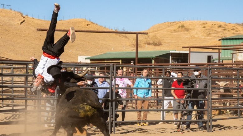 Johnny Knoxville hit by bull
