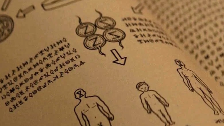 A diagram with writing in an alien language in Vivarium