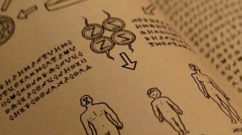 A diagram with writing in an alien language in Vivarium