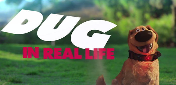 Dug in real life