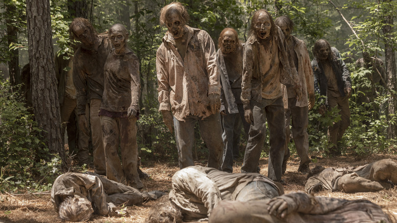 The Walking Dead walkers